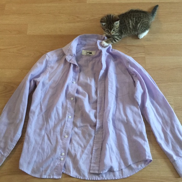 💛Little Boys Purple Dress Shirt - Picture 1 of 3